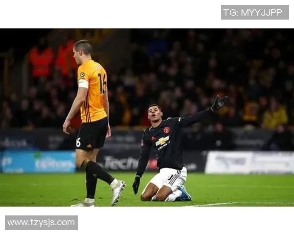 加的夫与水晶宫比赛结果分析及精彩瞬间回顾