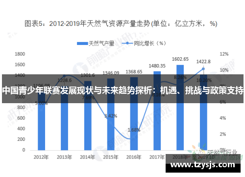 中国青少年联赛发展现状与未来趋势探析：机遇、挑战与政策支持