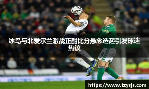 冰岛与北爱尔兰激战正酣比分悬念迭起引发球迷热议